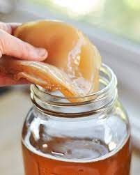 Kombucha bebida fermentada saludable